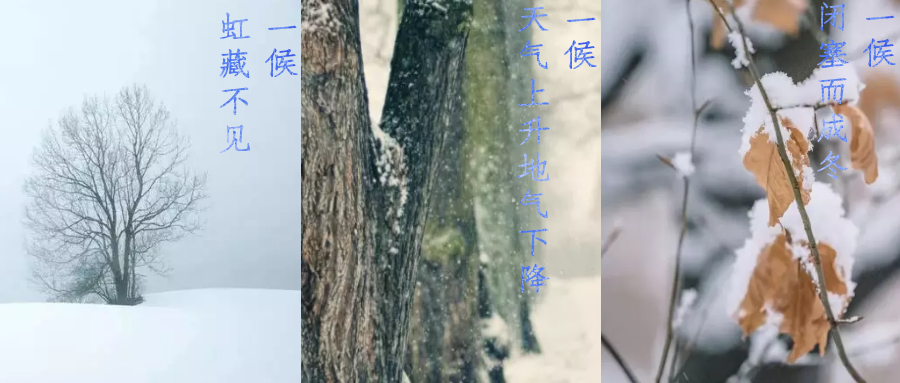 今日小雪，寒潮來襲，洗瓶機來幫你解放雙手吧！